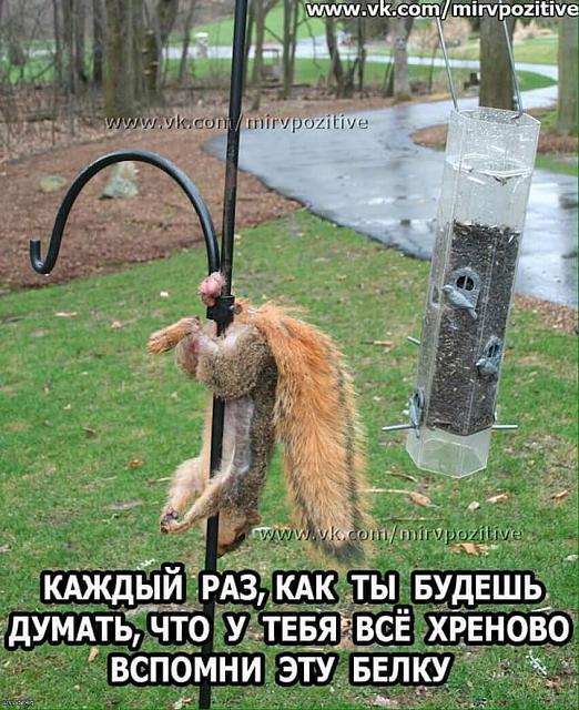 Нажмите на изображение для увеличения
Название: FB_IMG_1478247297476.jpg
Просмотров: 146
Размер:	46.0 Кб
ID:	10801