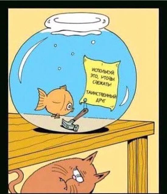 Нажмите на изображение для увеличения
Название: FB_IMG_14835373976424037.jpg
Просмотров: 75
Размер:	29.2 Кб
ID:	11510