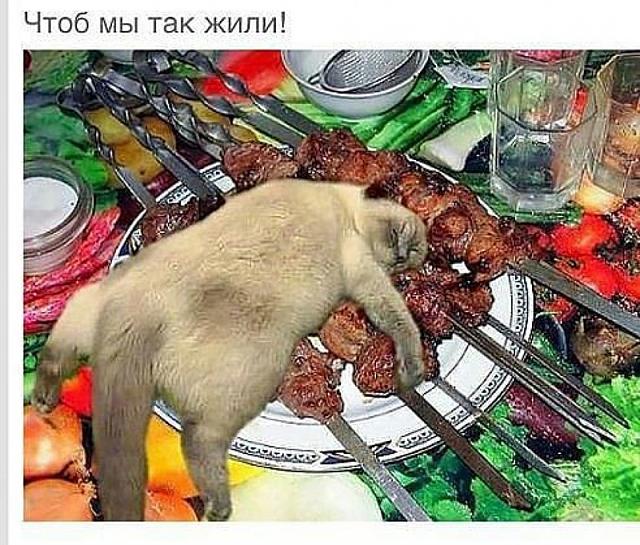 Нажмите на изображение для увеличения
Название: 20f2edc90ee1f3e50faf05e1c5a.jpg
Просмотров: 58
Размер:	52.2 Кб
ID:	11776