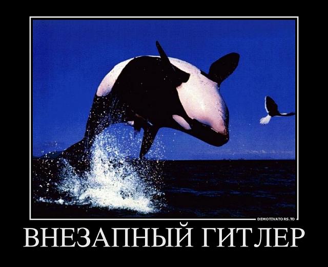 Нажмите на изображение для увеличения
Название: 569750_vnezapnyij-gitler_demotivators_to.jpg
Просмотров: 52
Размер:	35.8 Кб
ID:	12204