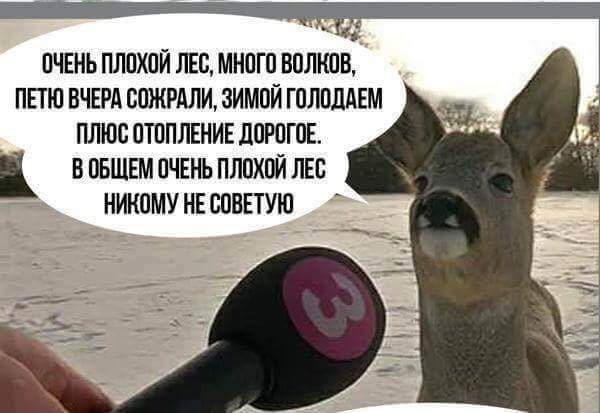 Название: FB_IMG_1492336894721.jpg
Просмотров: 321

Размер: 31.3 Кб
