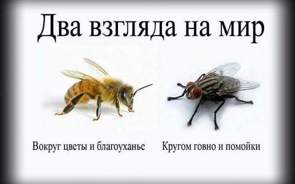 Название: FB_IMG_1497716881617.jpg
Просмотров: 1332

Размер: 19.1 Кб