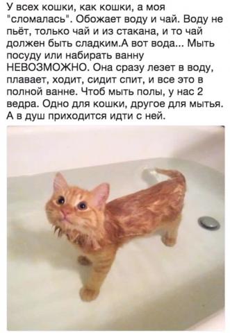Название: FB_IMG_15060204057797642.jpg
Просмотров: 113

Размер: 28.5 Кб