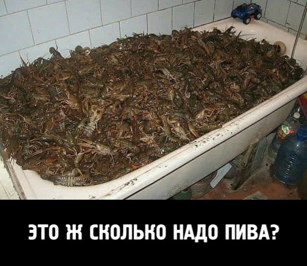 Нажмите на изображение для увеличения
Название: pivo.jpg
Просмотров: 70
Размер:	47.3 Кб
ID:	13649
