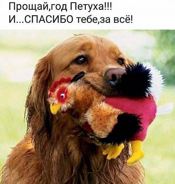 Нажмите на изображение для увеличения
Название: IMG-20171231-WA0003.jpg
Просмотров: 39
Размер:	33.5 Кб
ID:	14065
