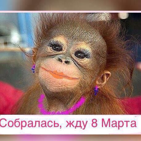 Название: IMG-fe08d1d3ad4f221d2924843ae65ea8da-V.jpg
Просмотров: 185

Размер: 48.7 Кб