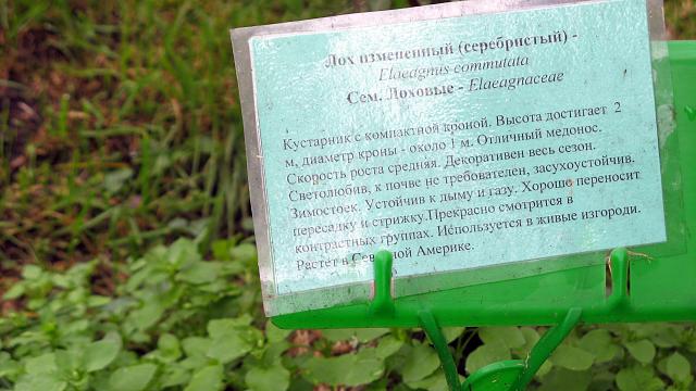 Нажмите на изображение для увеличения
Название: IMG_2909.jpg
Просмотров: 80
Размер:	40.3 Кб
ID:	14798