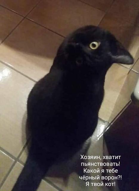 Нажмите на изображение для увеличения
Название: 14fa5d6108c814d18b48a2e6294.jpg
Просмотров: 62
Размер:	15.9 Кб
ID:	15692