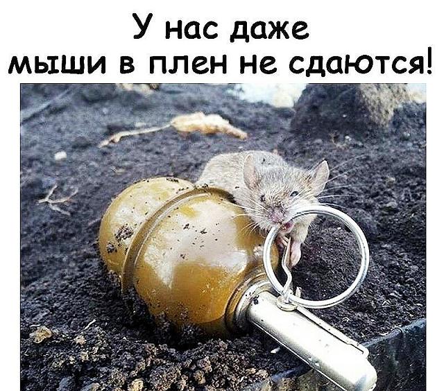 Нажмите на изображение для увеличения
Название: 0fbvxsCmCKE.jpg
Просмотров: 47
Размер:	51.0 Кб
ID:	17400