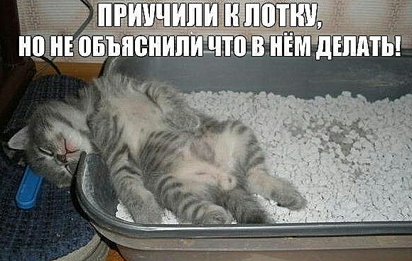 Нажмите на изображение для увеличения
Название: Ayd7ZkyZyO4.jpg
Просмотров: 43
Размер:	44.8 Кб
ID:	17443
