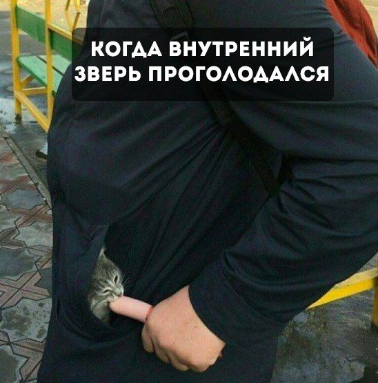 Нажмите на изображение для увеличения
Название: iM1cTAiMsCI.jpg
Просмотров: 43
Размер:	32.8 Кб
ID:	17507