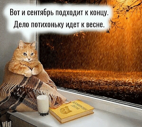Нажмите на изображение для увеличения
Название: O0QfJO5Vk6E.jpg
Просмотров: 42
Размер:	50.0 Кб
ID:	17788