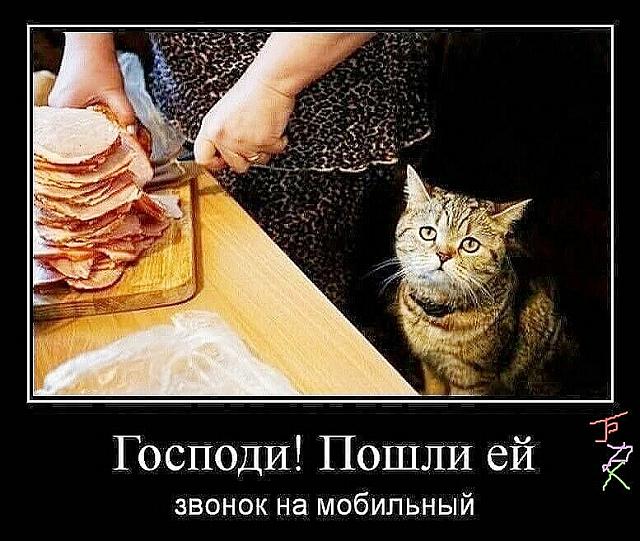 Нажмите на изображение для увеличения
Название: NJwOefkpY3g.jpg
Просмотров: 67
Размер:	48.8 Кб
ID:	17896