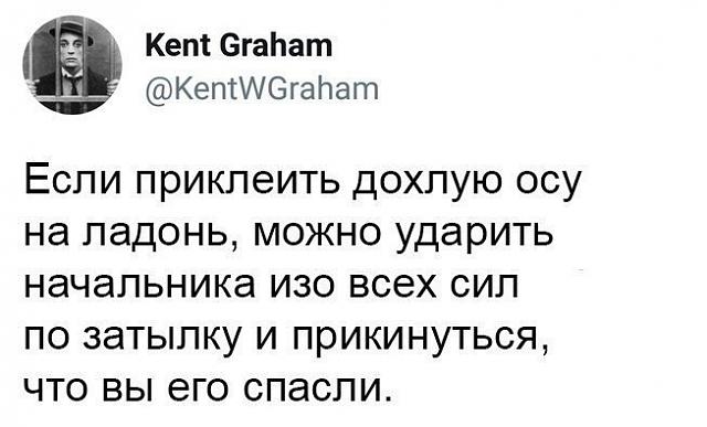 Нажмите на изображение для увеличения
Название: OMsfCf1wYAM.jpg
Просмотров: 57
Размер:	31.4 Кб
ID:	17915