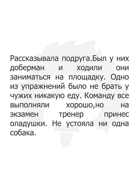 Нажмите на изображение для увеличения
Название: 1DYXvDFuKw0.jpg
Просмотров: 54
Размер:	20.4 Кб
ID:	17969