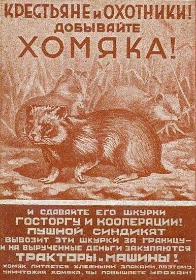 Нажмите на изображение для увеличения
Название: H04yNNz9fa0.jpg
Просмотров: 45
Размер:	45.6 Кб
ID:	18200