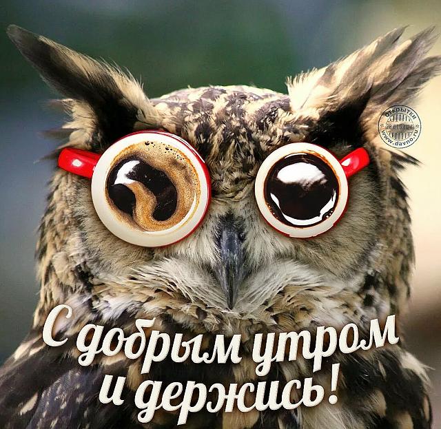 Нажмите на изображение для увеличения
Название: 436zV1nPyXk.jpg
Просмотров: 48
Размер:	49.5 Кб
ID:	18248