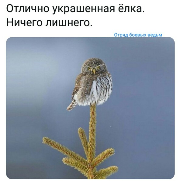 Нажмите на изображение для увеличения
Название: LhYVxGM0plk.jpg
Просмотров: 58
Размер:	20.8 Кб
ID:	18666