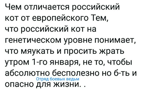 Нажмите на изображение для увеличения
Название: wrgk8AW6XCg.jpg
Просмотров: 50
Размер:	38.8 Кб
ID:	18764