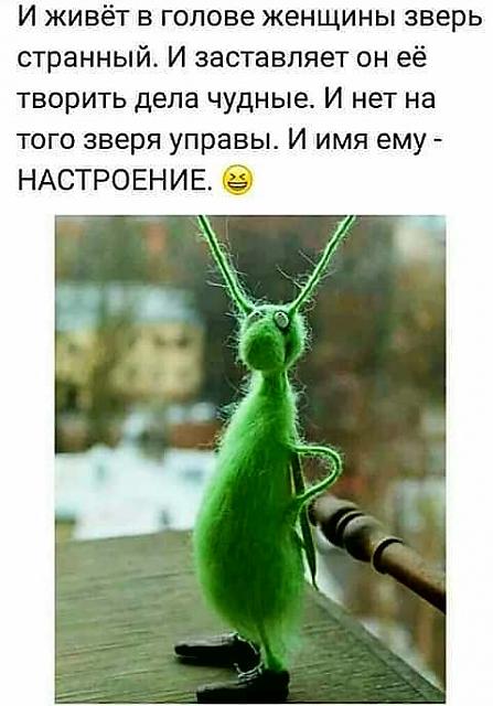 Нажмите на изображение для увеличения
Название: 87464235_534971713807437_3714342087571800064_n.jpg
Просмотров: 49
Размер:	28.0 Кб
ID:	19505