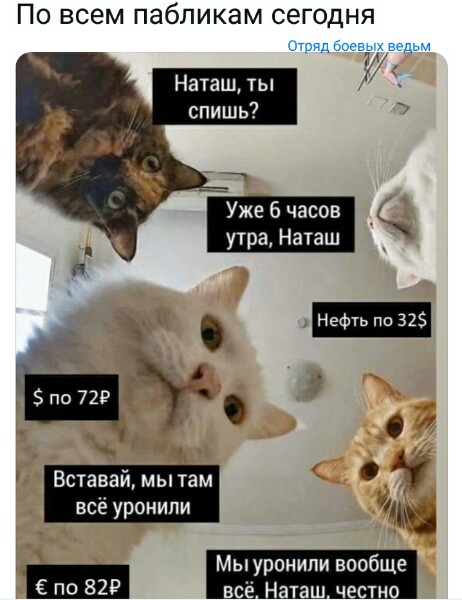 Нажмите на изображение для увеличения
Название: 6dBNW5JU5XU.jpg
Просмотров: 55
Размер:	29.7 Кб
ID:	19530
