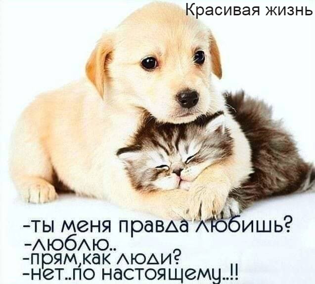 Нажмите на изображение для увеличения
Название: 92727774_153036369571915_4661902574188756992_n.jpg
Просмотров: 121
Размер:	36.6 Кб
ID:	20139