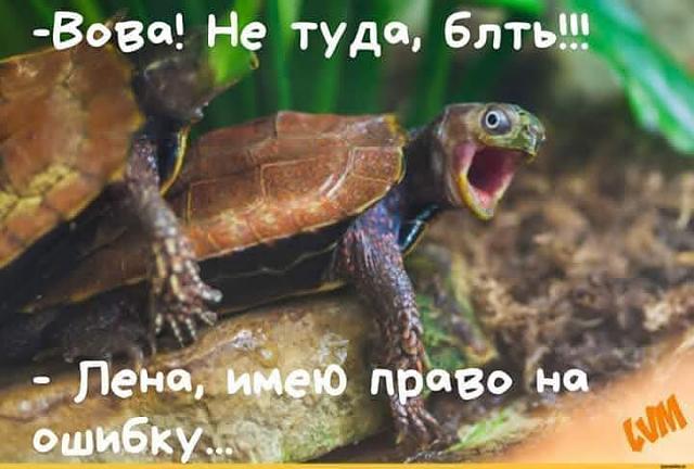 Нажмите на изображение для увеличения
Название: 93846548_2269357900038539_8556222122383376384_n.jpg
Просмотров: 176
Размер:	40.0 Кб
ID:	20227