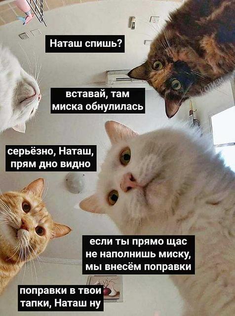 Нажмите на изображение для увеличения
Название: IMG-20200703-WA0003.jpg
Просмотров: 68
Размер:	32.0 Кб
ID:	20599