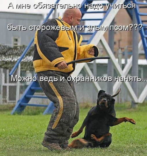 Нажмите на изображение для увеличения
Название: IMG-20200726-WA0001.jpg
Просмотров: 195
Размер:	44.9 Кб
ID:	20647
