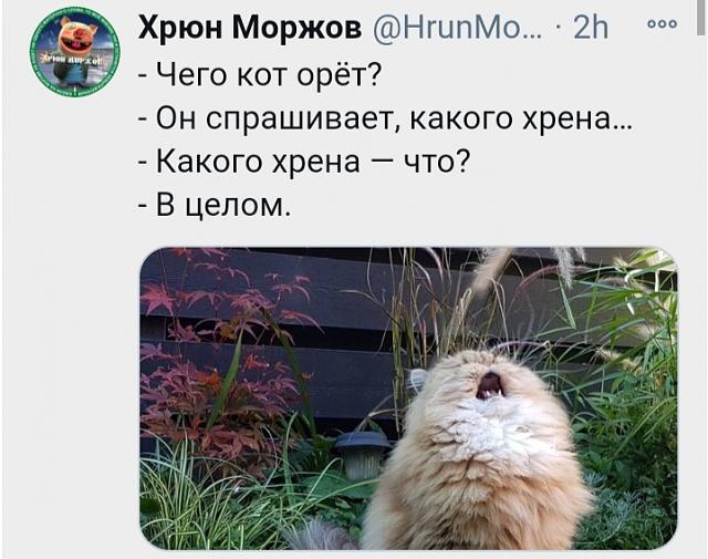 Нажмите на изображение для увеличения
Название: IMG_20210117_132958.jpg
Просмотров: 82
Размер:	43.7 Кб
ID:	20835