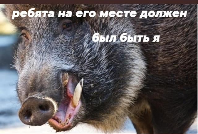 Нажмите на изображение для увеличения
Название: Screenshot_2021-11-19-10-05-40-47.jpg
Просмотров: 47
Размер:	48.4 Кб
ID:	21061