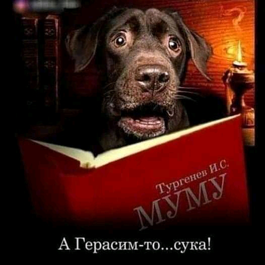 Нажмите на изображение для увеличения
Название: 1641203940752.jpg
Просмотров: 50
Размер:	25.4 Кб
ID:	21116