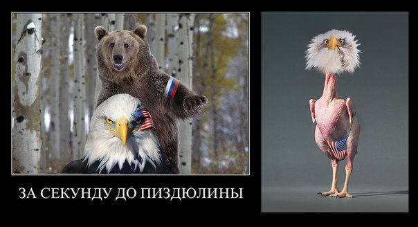 Название: 4yboVb3JgqA.jpg
Просмотров: 189

Размер: 38.7 Кб