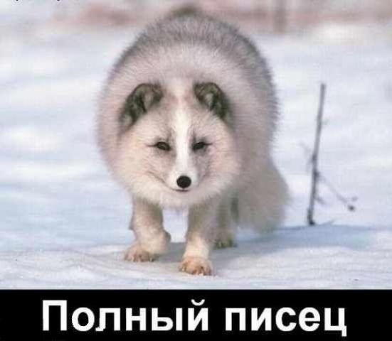 Название: d34ddc8d92cc.jpg
Просмотров: 215

Размер: 24.8 Кб