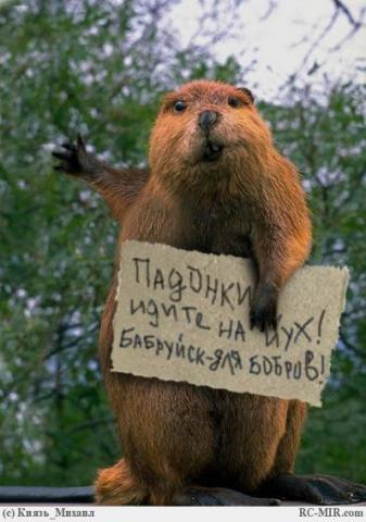 Название: бобруйск.jpg
Просмотров: 373

Размер: 29.0 Кб