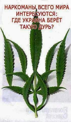 Название: дурь.jpg
Просмотров: 445

Размер: 31.8 Кб