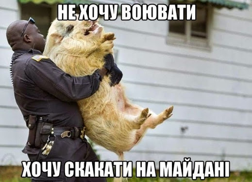 Нажмите на изображение для увеличения
Название: скакаит.jpg
Просмотров: 59
Размер:	31.0 Кб
ID:	4759