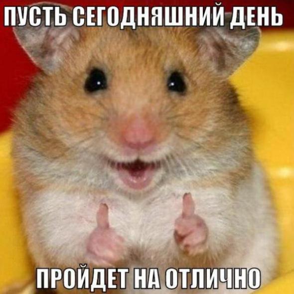 Нажмите на изображение для увеличения
Название: 066a6040c2c2b9f2c3b70c05ed7_prev.jpg
Просмотров: 62
Размер:	32.9 Кб
ID:	5115
