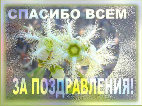 Название: 15203015.jpg
Просмотров: 114

Размер: 47.4 Кб