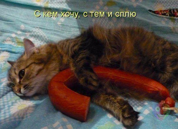 Название: прикол2.jpg
Просмотров: 225

Размер: 45.6 Кб