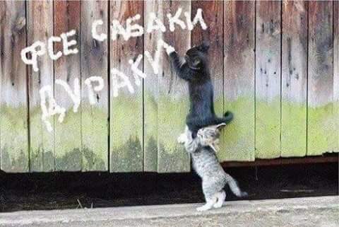 Название: 11988720_566509296834072_7503695709553152019_n.jpg
Просмотров: 196

Размер: 25.6 Кб
