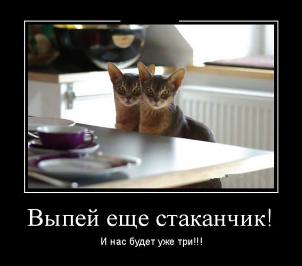 Нажмите на изображение для увеличения
Название: 0ce2c973dde68b8411e865a52da_prev.jpg
Просмотров: 71
Размер:	26.1 Кб
ID:	7877