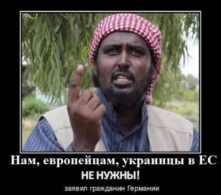 Название: 6584986.jpg
Просмотров: 73

Размер: 27.9 Кб
