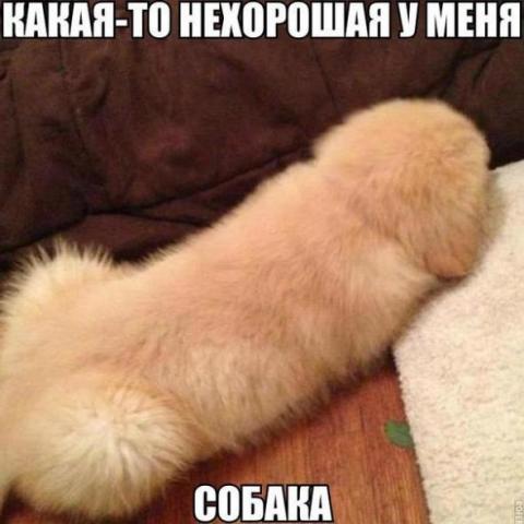 Название: 224eb5e2759590425e02375ef38_prev.jpg
Просмотров: 82

Размер: 29.4 Кб