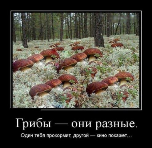 Название: 05530837f20be665c36e8aebff5_prev.jpg
Просмотров: 162

Размер: 45.9 Кб