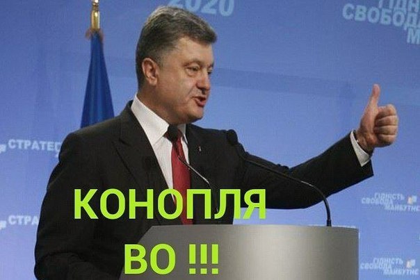 Название: uwEc0C0S1HQ.jpg
Просмотров: 215

Размер: 42.6 Кб