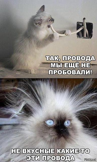 Нажмите на изображение для увеличения
Название: 65f175e995f94f0cd6e1b7a427a0e711.jpg
Просмотров: 67
Размер:	25.3 Кб
ID:	9032